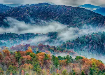 Great Smokey Mountains